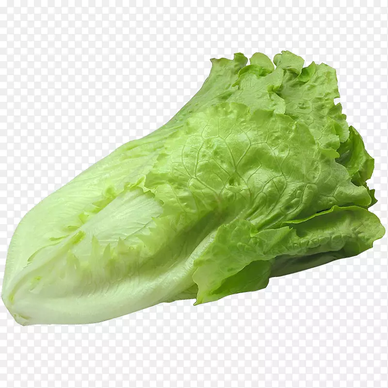 �����տ��߲�-�����տ�-������