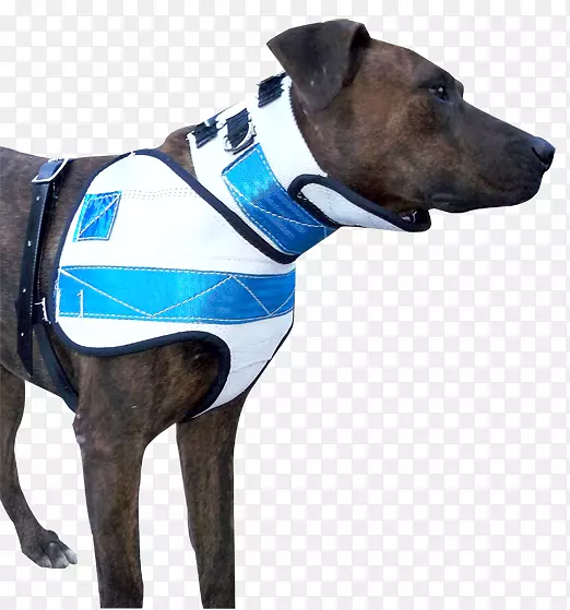 ��������ȮȦ�������Ƥ��Ƥ�����ƶ���-������