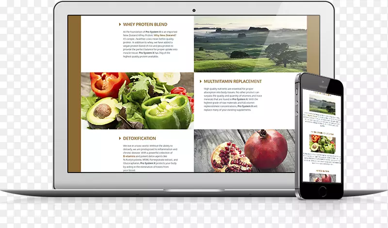 չʾ����ý��Ʒ��-������