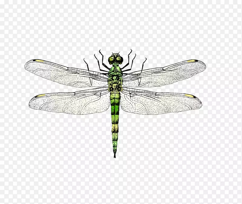 ������������-������