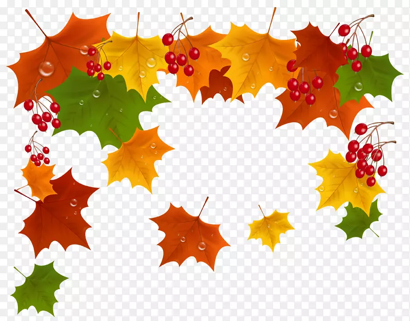 �＾������ֽ����-�＾װ��-������