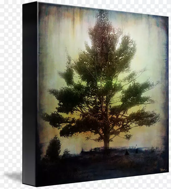 ���ƶ������滭���������ý��.������Ӱ-������