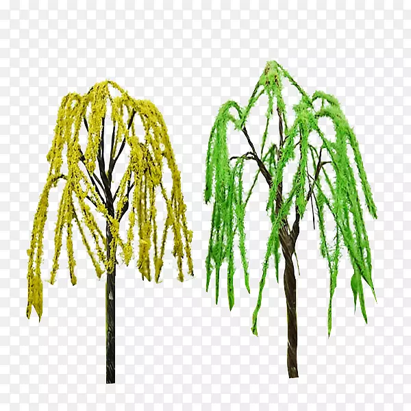 ��ֲ֦�ﾥ��-����-������