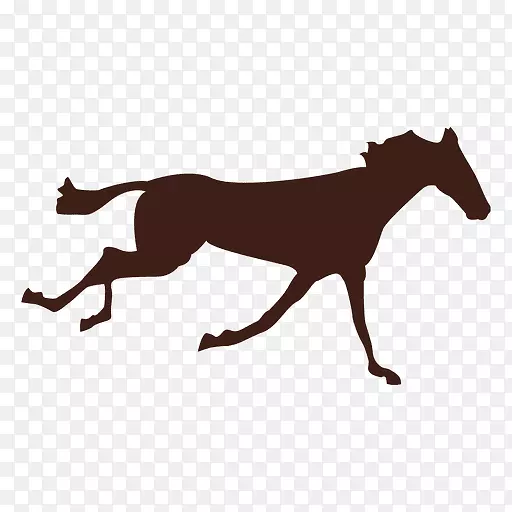 ����������-������