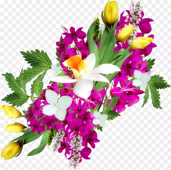 �ʻ������л�-ţ�̻�-������