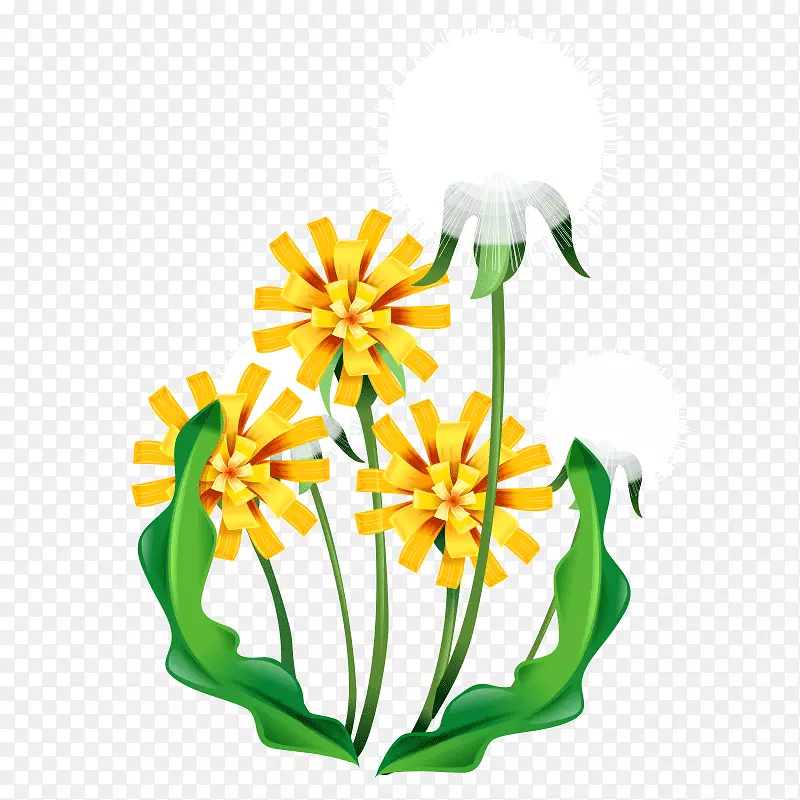 �л�������ƻ���-�Ա����-������