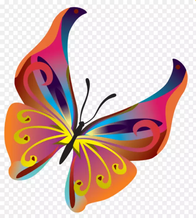 ����������.�˶�-������