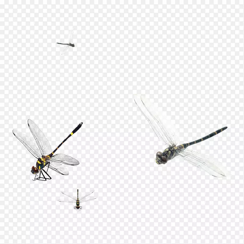 ����������-��������-������