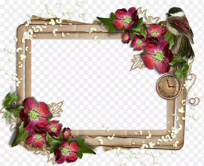 �����Ӱ����-�̳�װ��-������