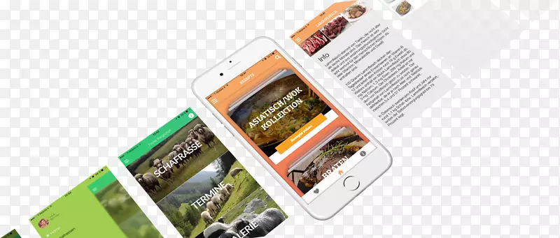 Tiroler bergschaf Braunes bergschaf Tyrol����-2-11�Ա�-������