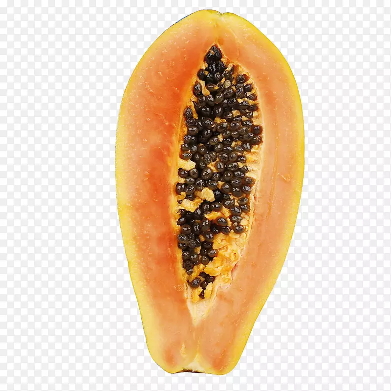 ��ľ��-��ľ��-������