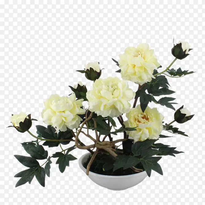 u9ec3u7261u4e39����ͼ��-��Ң������װĵ��װ��-������