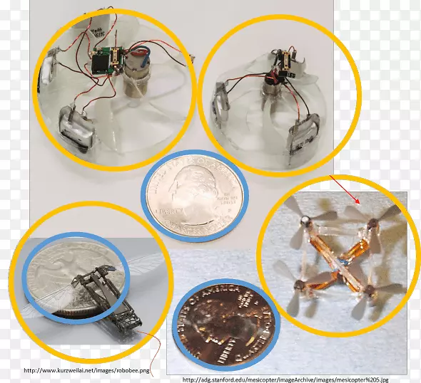 piccolissimo���˼�ʻ��������ά��ӡ��������������������-������