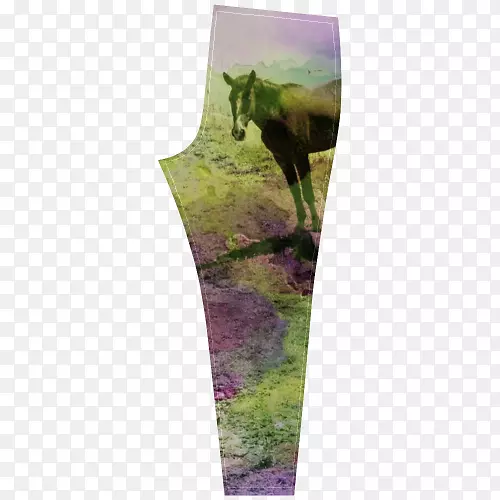 ޹�²�����������.ˮ����-������