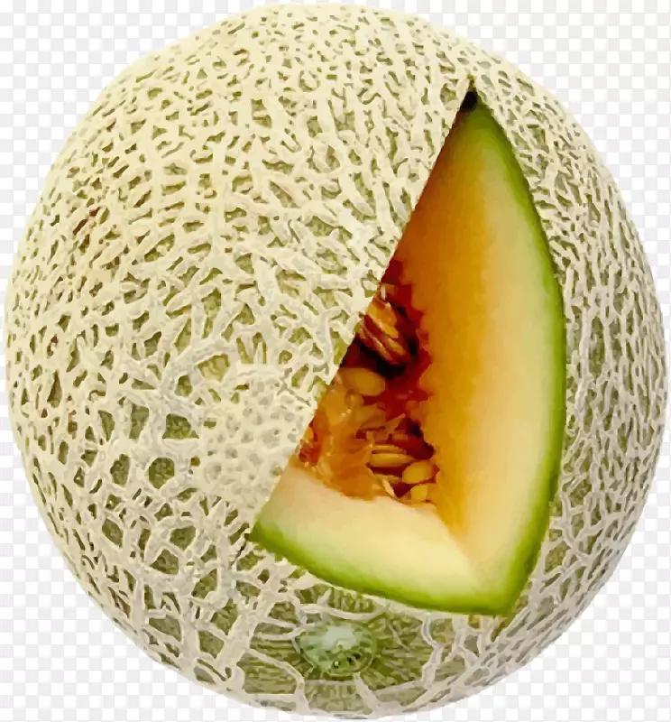 ��¶��Ϲ��ܹϹϹ�����ɷ���Ϲ�ʵ-������