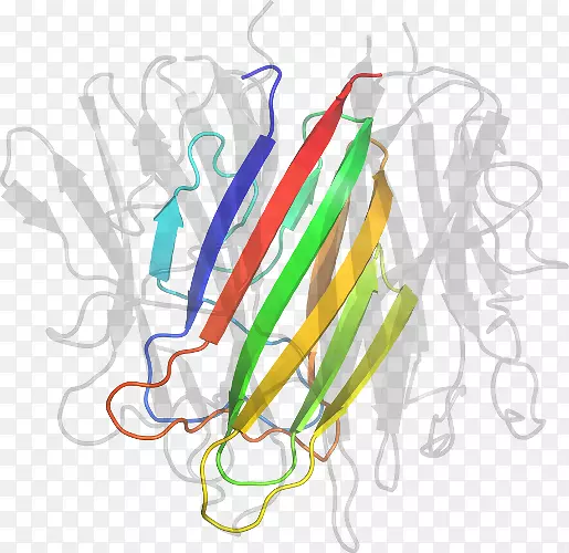 ƽ������ߵ�-��״-������