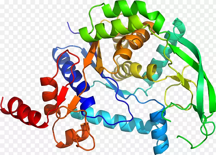 �����������������-��״-������