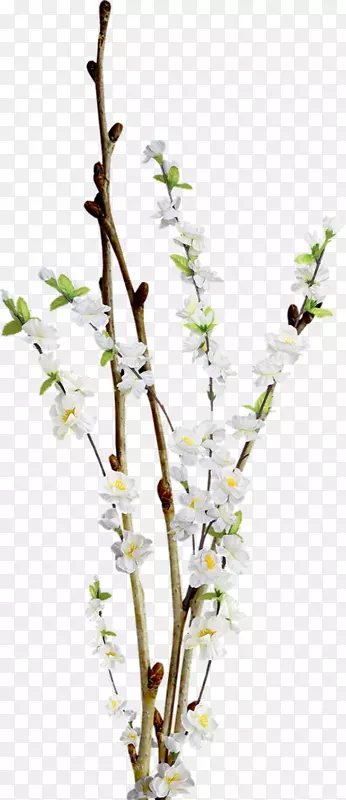 ����-������