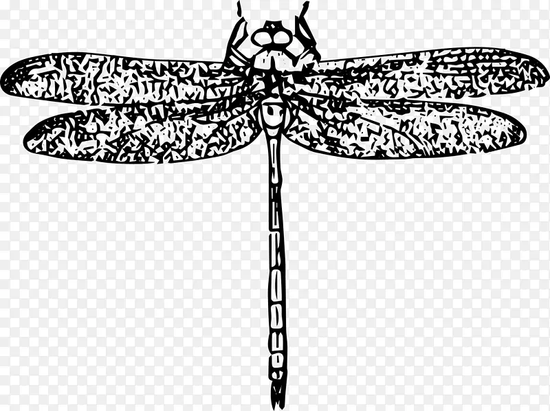 �������Ѽ�����-����-������