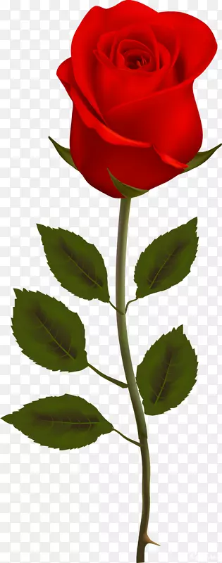 õ�廨�¼�������-������