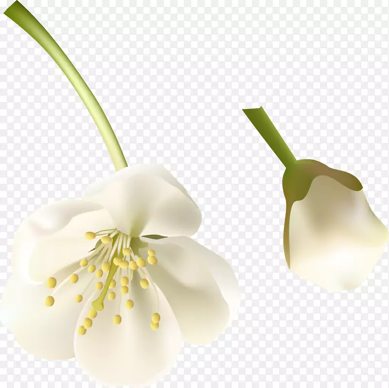 �л�������Ӱƻ��ֲ��-������