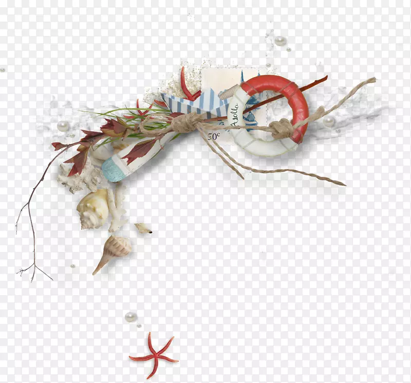 ̹�����粩�ͼ�����-������