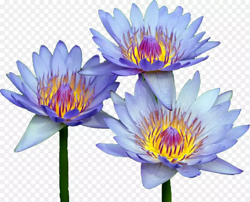 ����������-��-������