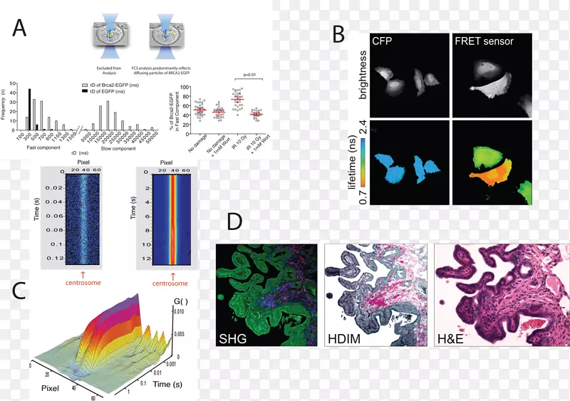 ƽ�����-���-������
