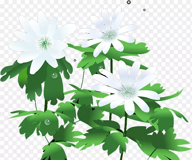 �ջ�Ҷ-�ջ�-������