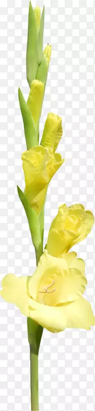 �������л������ӻ������-������-������