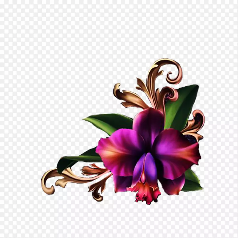 �л�������-������