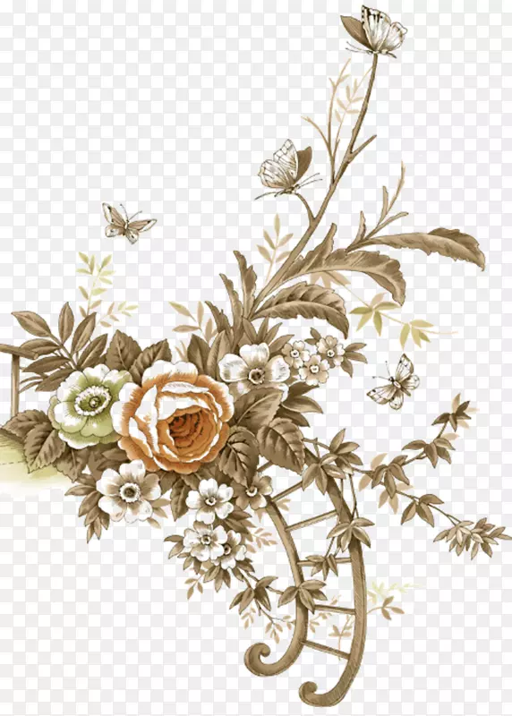 �����ֽ������-������