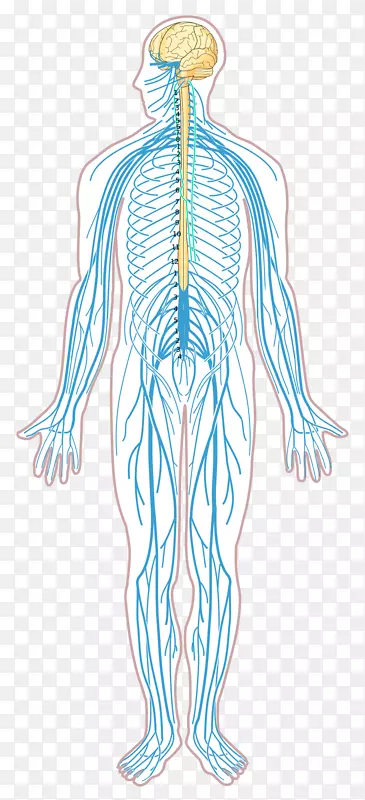 ��ϵͳ������ͼ����-������