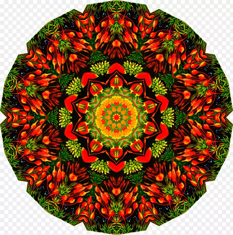 ��Ͳ�Գ�ʥ��װ����ͼ����-������