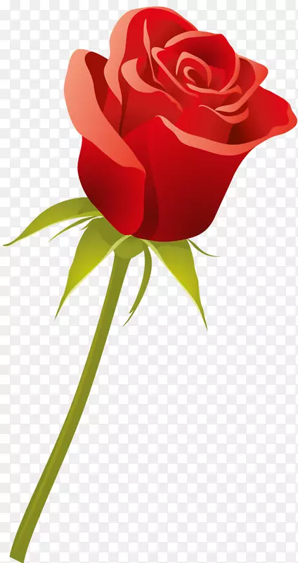 ��԰õ���л���õ��-������