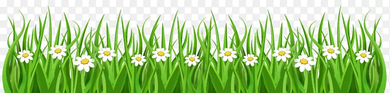 �����ֽmicrosoft powerpointģ����ʾ�ĸ������-������