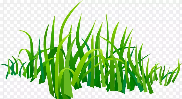 �滭������-������