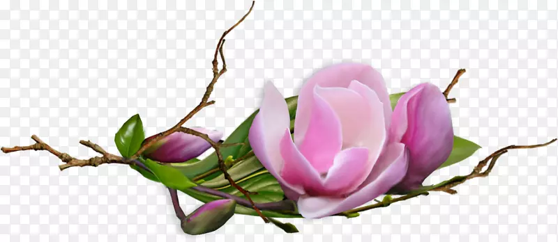 �廨����-������