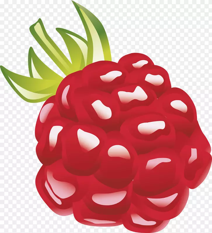 ˮ������߲˲�ݮ���-������