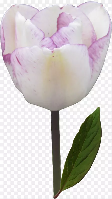 �������л�������-������-������