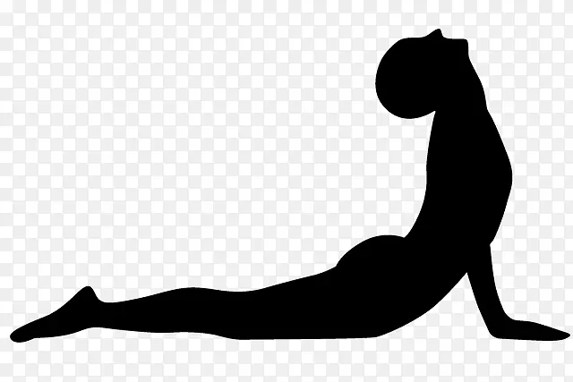 ��ʲ���٤��������ʽ�٤-������