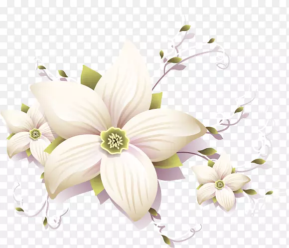 ����Ұ���������-����-������