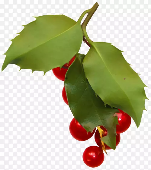 ����ݮ��������-������