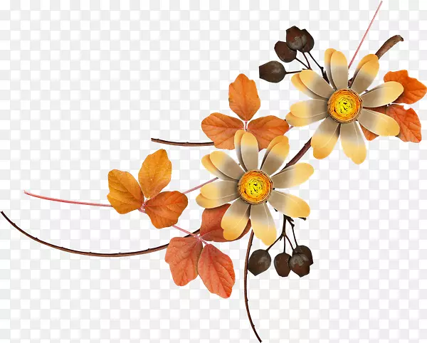 ���������������-��-������