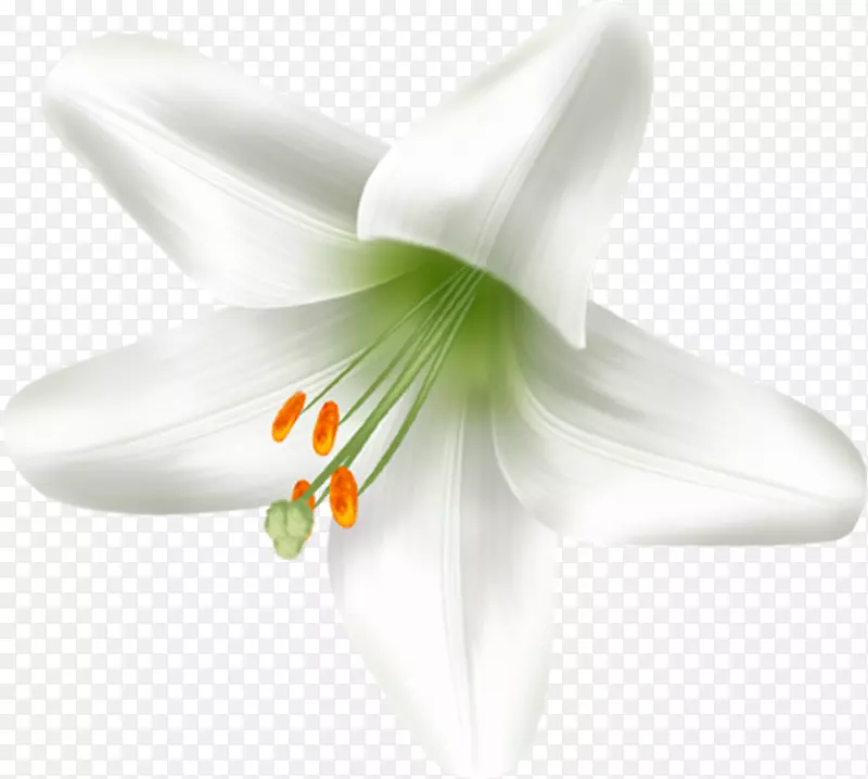 �ٺϿƿ���ֲ��-������