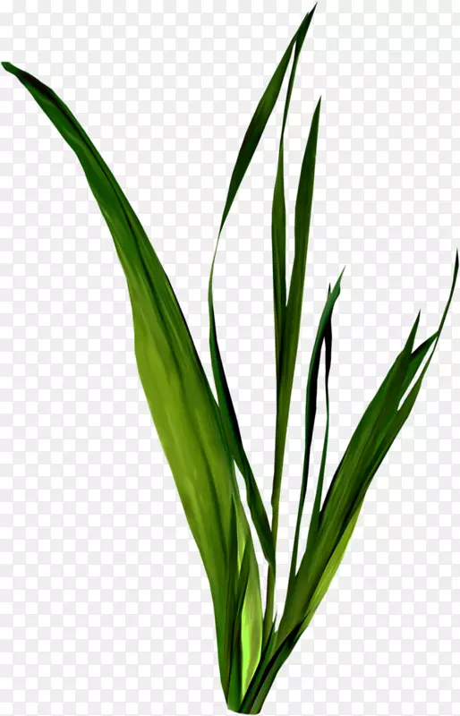 ������-������