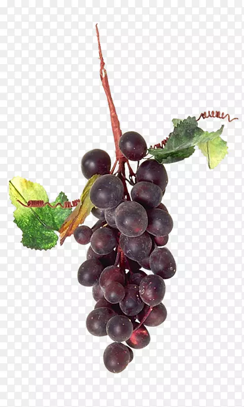 ���Ѱ¸���˹��ɣ�����Ѹ�-һ������-������