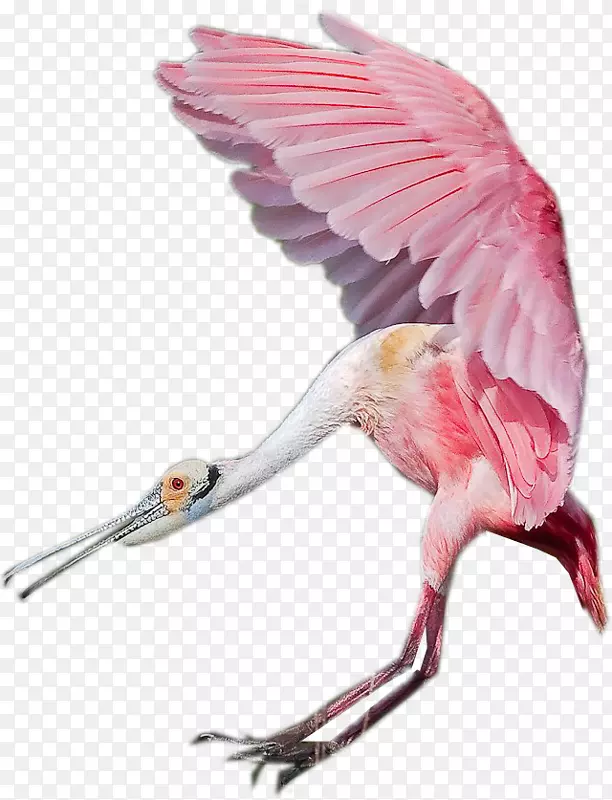 ˮ��-������