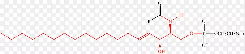 �ߵ�ͼ-��-������