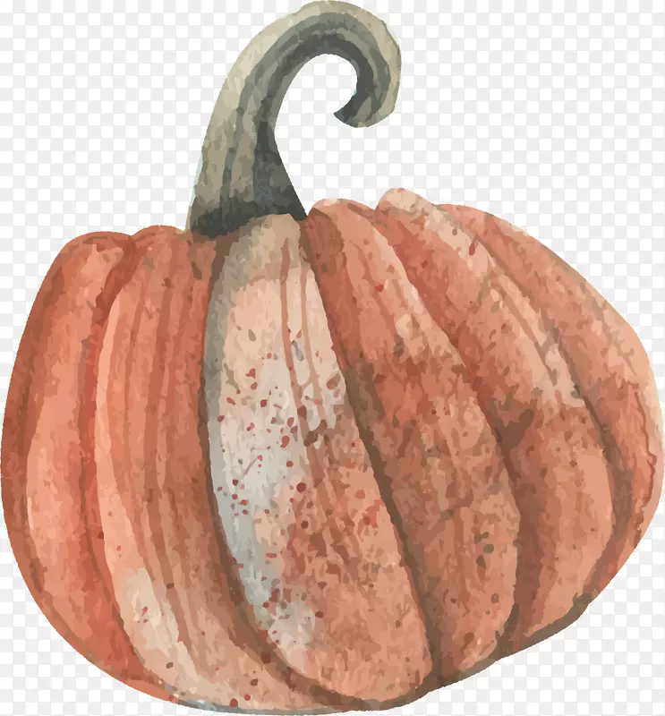 ˮ�ʻ�����-ˮ�ʻ��Ϲ�-������